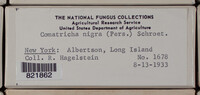 Image Associated With the Occurence